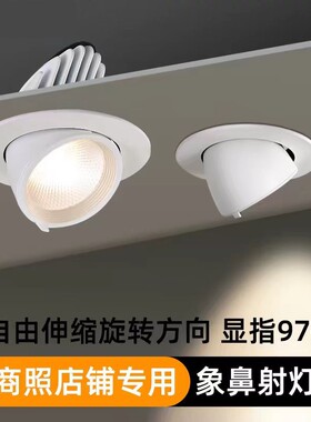 商用嵌入式象鼻灯led射灯98显指30W25W服装店铺女装童装专用4500K