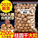 促销 桂圆干16A特级大果2025年新货核小肉厚福建龙眼干特产 中