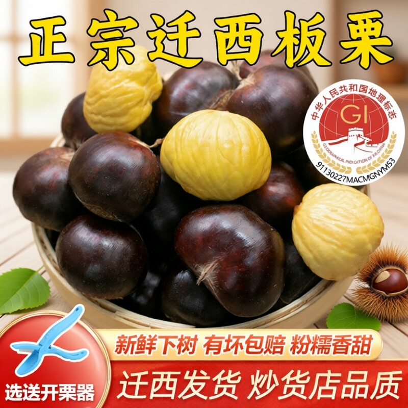 迁西新鲜板栗生鲜板栗大油栗子河北省唐山燕山板栗小毛栗子包邮