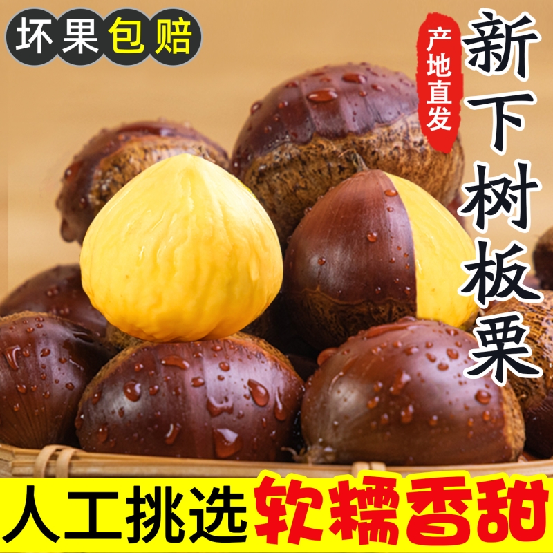 板栗生新鲜当季2025新鲜嫩野生板栗毛栗子农家板栗非锥栗小油栗子