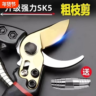 钢粗枝剪修枝剪强力树枝剪工具园艺苹果树剪子修剪弹簧高硬度剪花