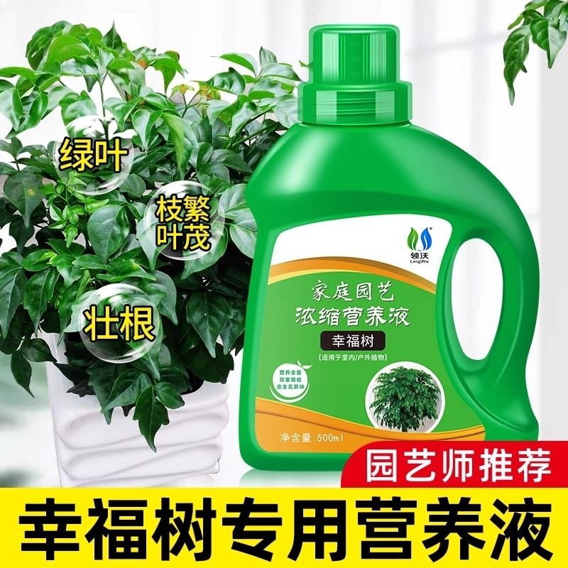 幸福树专用肥料营养液急救叶子干枯落叶花肥富贵竹绿宝树木专用肥