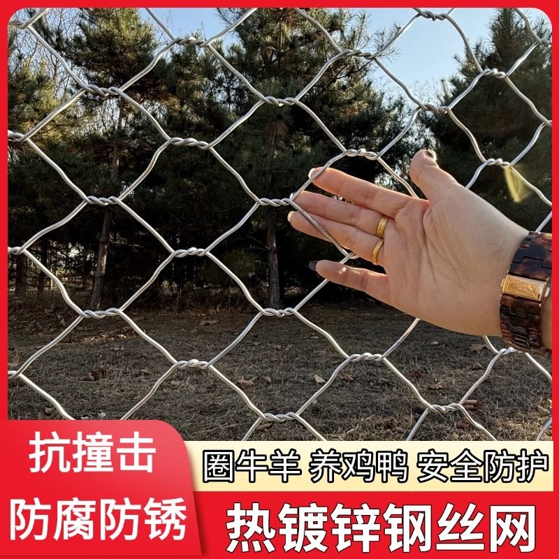 镀锌加粗铁丝网围栏养殖防护网