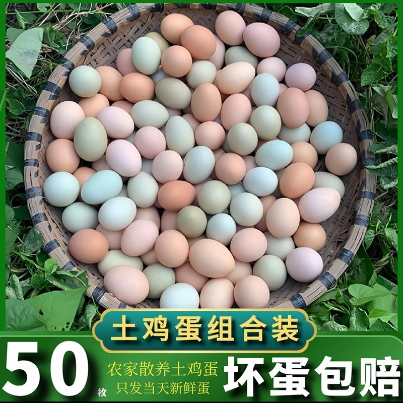 混装鸡蛋农家散养新鲜土鸡蛋山林虫草谷物喂养健康50枚农场