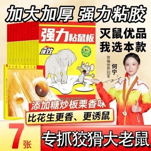 粘鼠板强力胶抓粘大老鼠贴药灭抓鼠神器克星家用一窝端捕鼠厨房