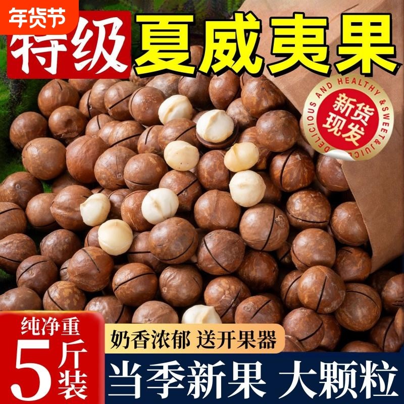 2025年新货夏威夷果500g坚果批发官方旗舰店整箱5斤原味过年