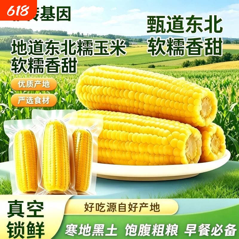 东北当季新鲜糯玉米非转基因真空锁鲜苞米粘甜糯香低脂粗粮玉米棒