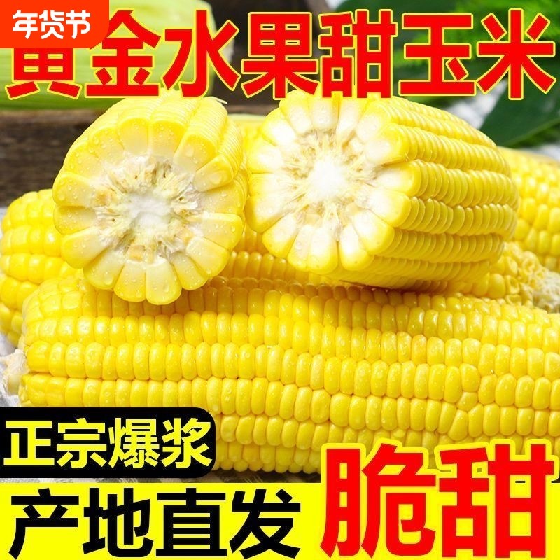 新鲜甜玉米黄金水果玉米鲜嫩脆甜爆浆现摘现发农家自种鲜玉米苞米,水产肉类/新鲜蔬果/熟食,新鲜玉米,淘宝优惠券,粉丝福利购,淘宝优惠卷