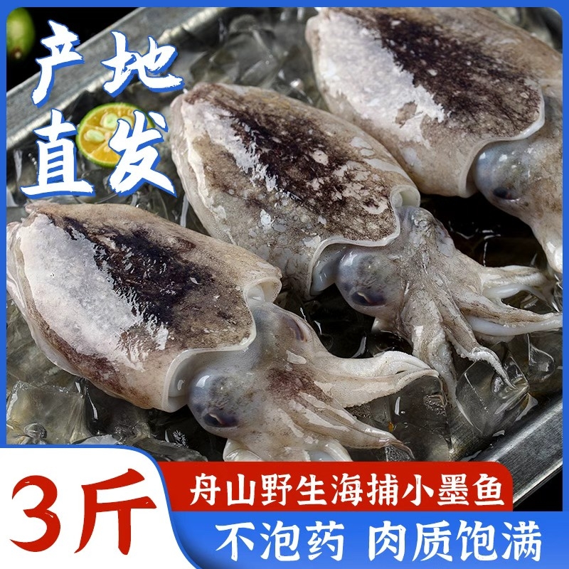 小墨鱼舟山野生海捕冷冻新鲜小墨鱼仔迷你小墨鱼章鱼乌贼鲜活水产