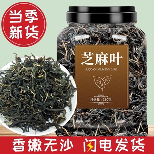 河南特产干芝麻叶干菜当季新货农家自晒脱水蔬菜可做豆面条糊涂面