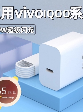 适用VIVO充电器120W氮化镓快充X200Pro/100/90S/80/70手机充电头IQOO13/12/11/10/Neo9/Z8/7闪充S/18/19/20/3