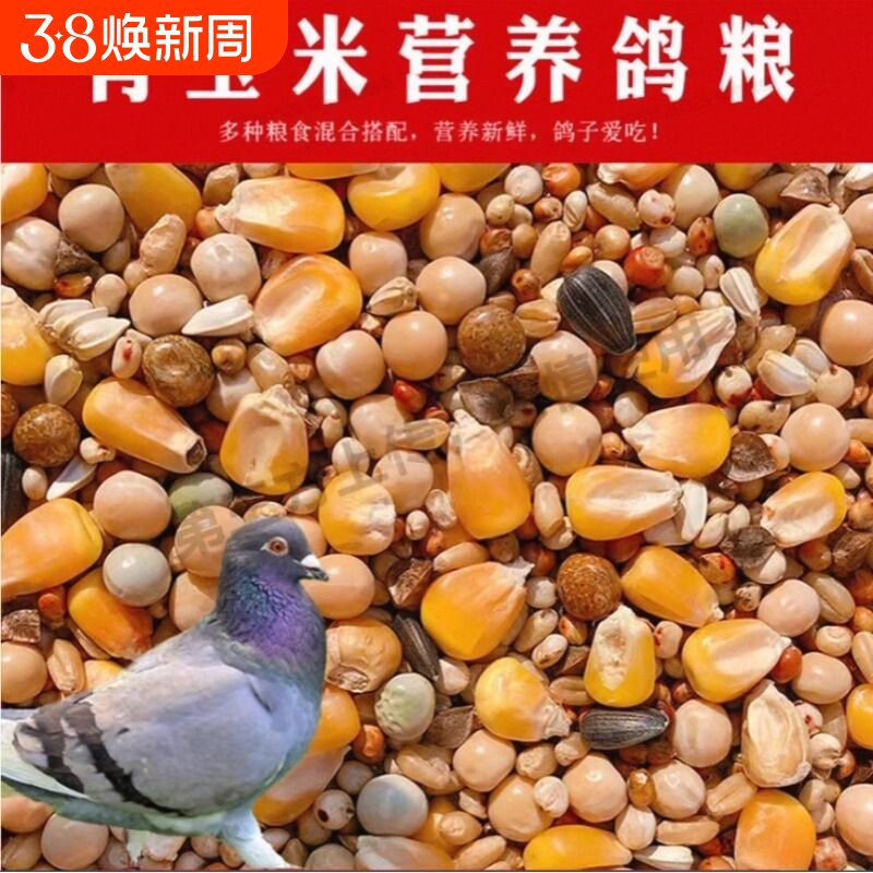 鸽子粮有玉米鸽粮食营养饲料鸟食信鸽幼鸽成鸽粮5斤装混合豌豆