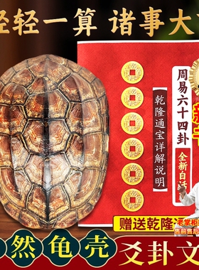 天然乌龟壳文玩六爻摇卦工具真龟甲乾隆铜钱占六十四卜打算卦摆件