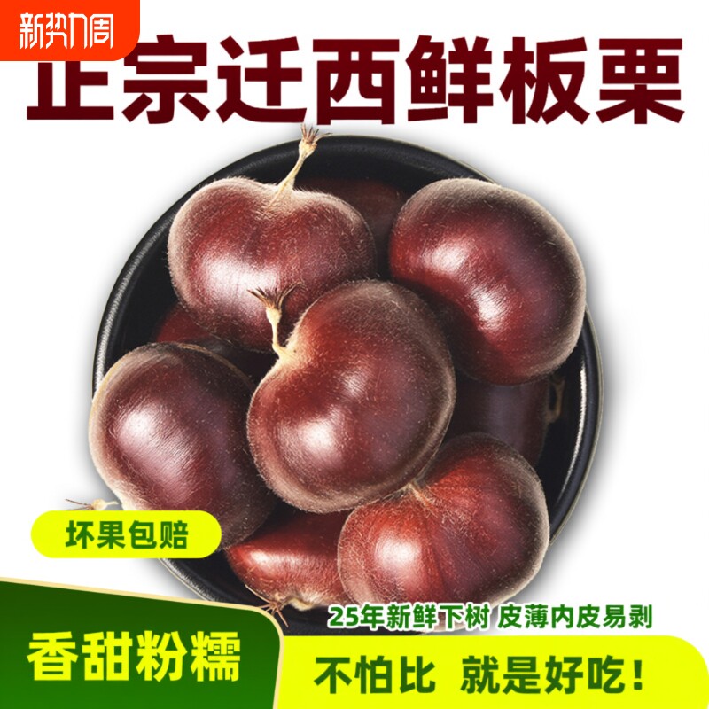2026年迁西生板栗生栗子正宗燕山油栗子新鲜板栗生新鲜好去皮