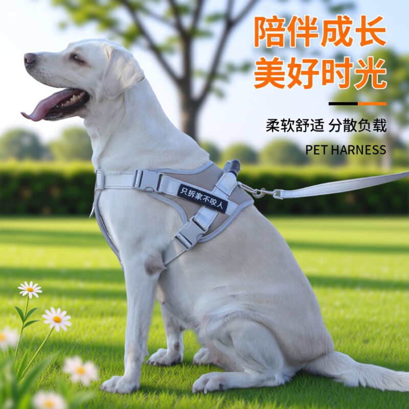 宠物胸背带防爆冲背心式拉布拉多狗链子中大型犬金毛狗狗牵引绳子