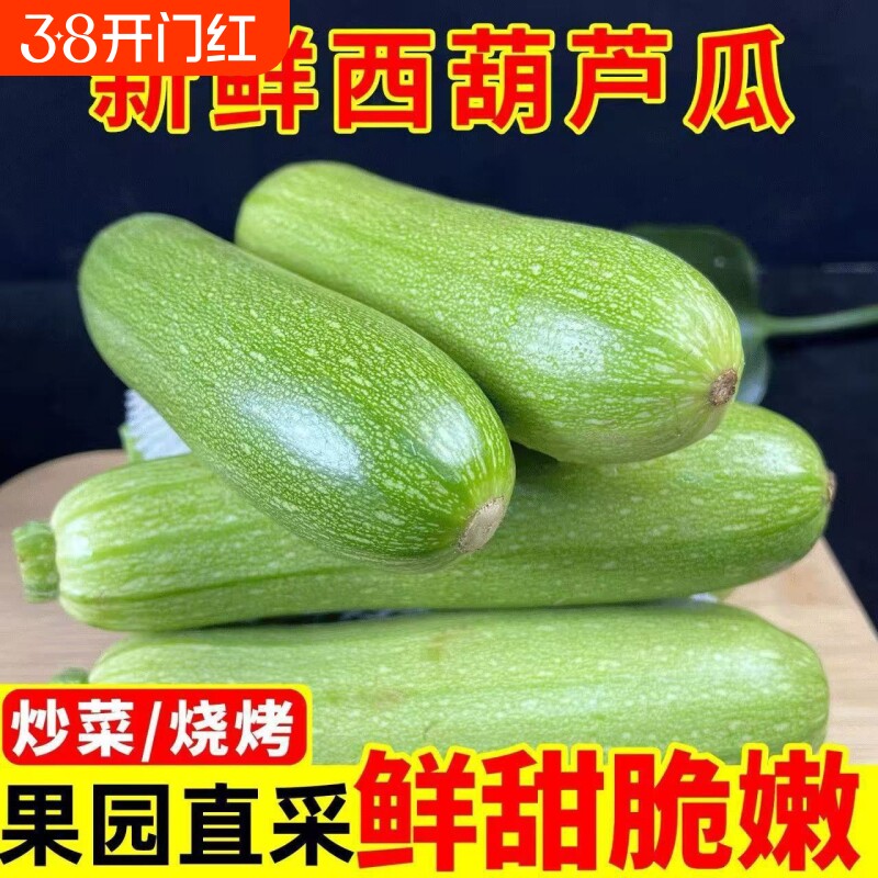 云南西葫芦新鲜现摘现发应季蔬菜当季现摘角瓜葫芦瓜自种烧烤