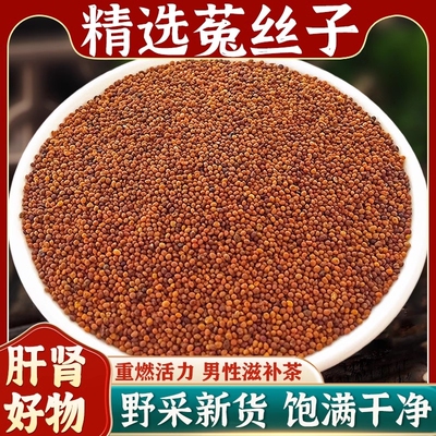 正品内蒙古菟丝子吐丝子新货兔丝