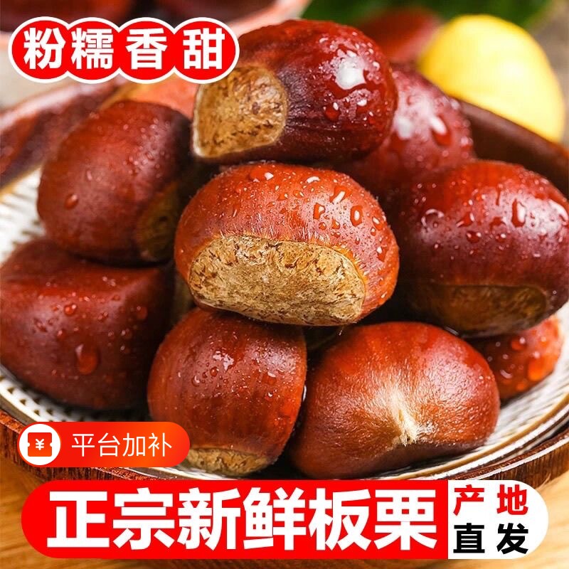 新下树正宗新鲜生现摘丹东板栗锥栗栗子锥去毛球油栗仁蔬罗田