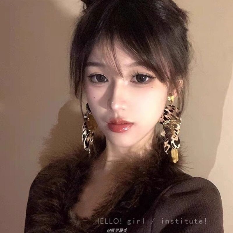 美拉德金属豹纹流苏耳环女秋冬复古港风气质耳坠绝美独特夸张耳饰