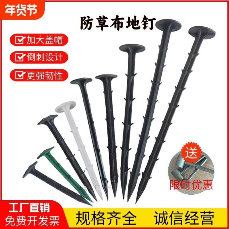 防草布塑料地钉除草布地布钉果园黑色地钉大棚地膜固定钉厂家直销,户外/登山/野营/旅行用品,地钉,淘宝优惠券,粉丝福利购,淘宝优惠卷