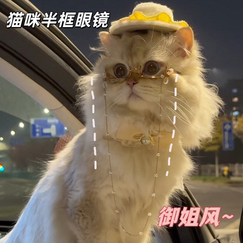 猫狗半框眼镜宠物挂脖珍珠链条潮流斯文装扮小眼镜猫咪拍照用墨镜图片