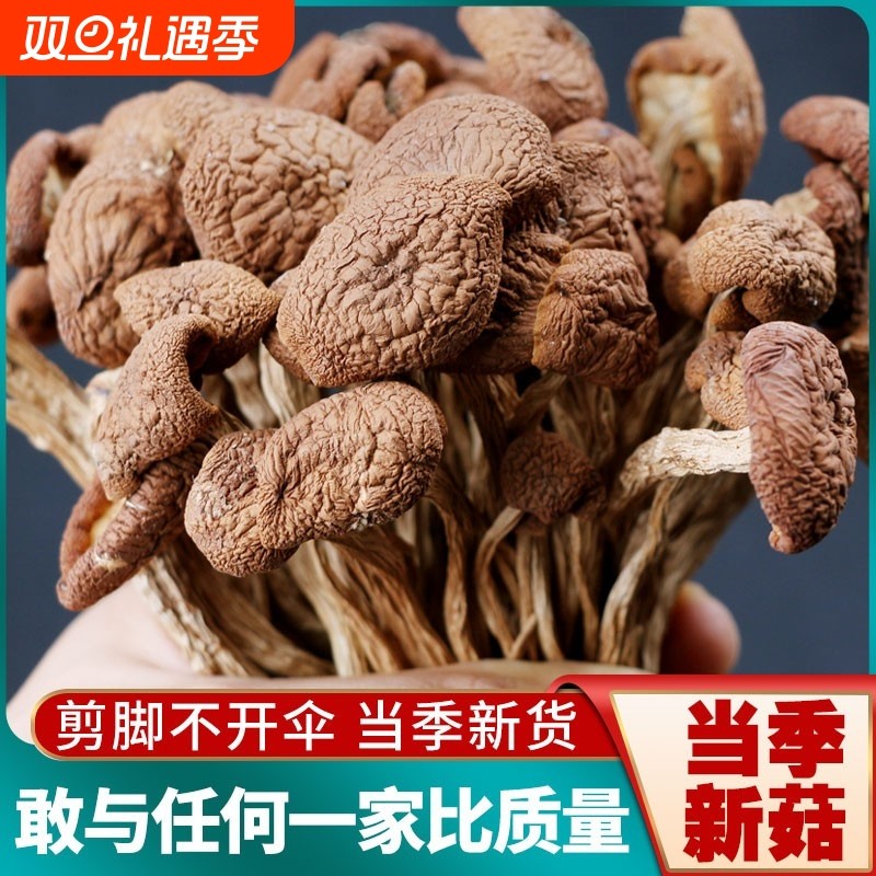 2024古田农家茶树菇干货甄选不开伞切根新鲜香菇蘑菇250g新货
