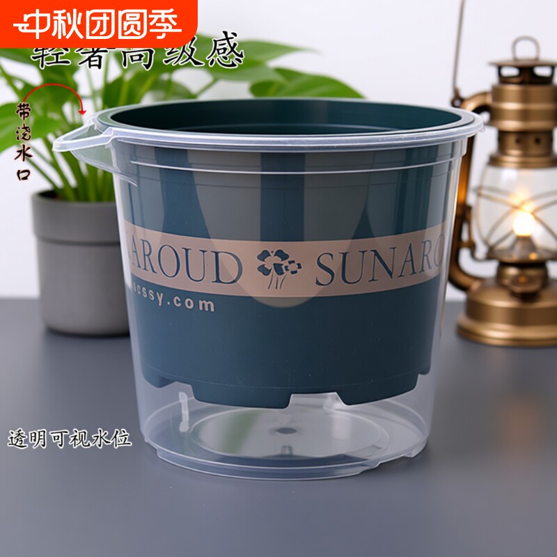 可视绿萝水培花盆|超2000次加购图片
