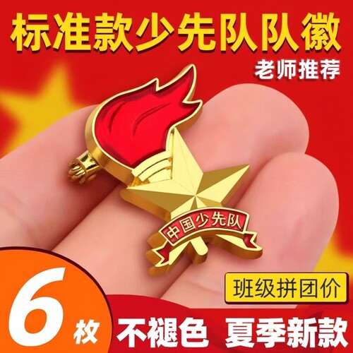 新款少先队队徽小学生