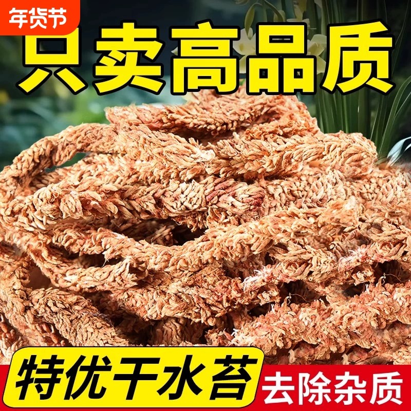 毛毛虫水苔智利进口蝴蝶兰植物兰花专用土干苔藓植料乌龟冬眠垫材,鲜花速递/花卉仿真/绿植园艺,介质/营养土,淘宝优惠券,粉丝福利购,淘宝优惠卷