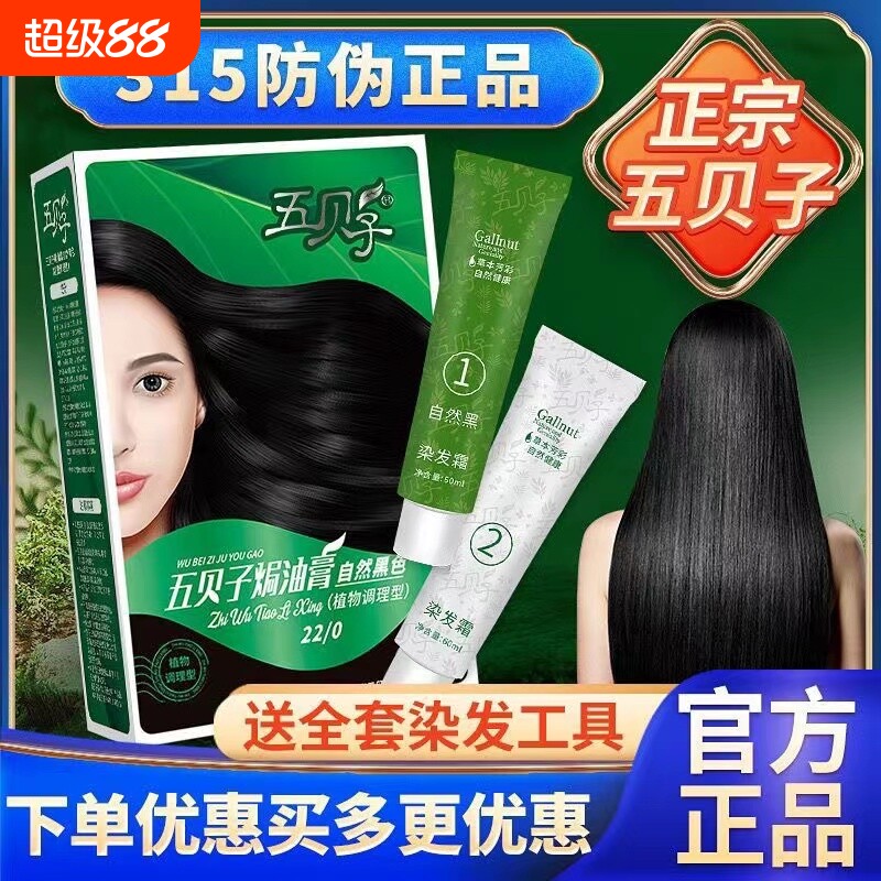 五贝子盖白发上海自然黑棕黑色图片