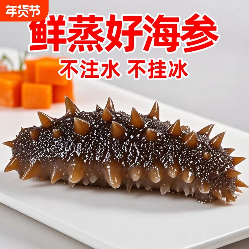 海参即食大连鲜活野生辽刺参滋补刺参礼盒单个装旗舰店水产冷冻