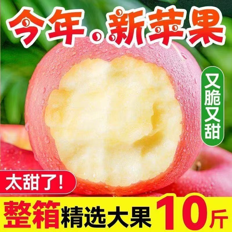 山西运城正宗红富士苹果产地直发脆甜多汁老少皆宜新鲜好吃