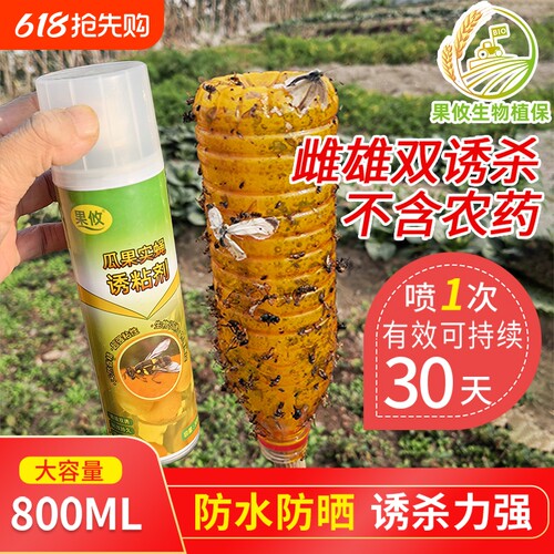 果攸诱粘剂诱虫瓶瓜果实蝇粘虫板