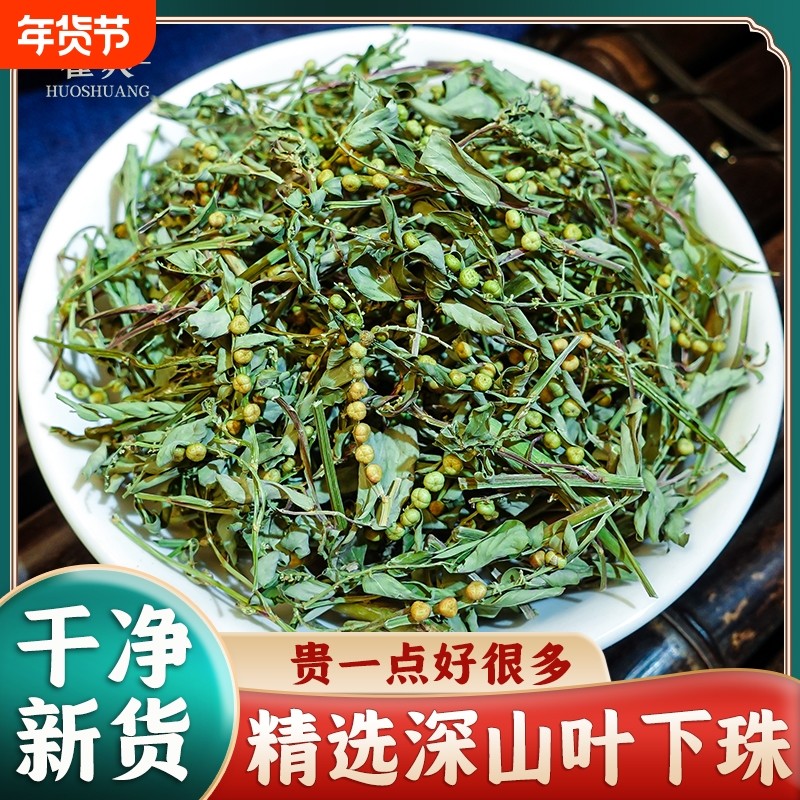 广西深山叶下珠材新货干品草珍珠草龙珠草夜合草新鲜,传统滋补营养品,其他药食同源食品,淘宝优惠券,粉丝福利购,淘宝优惠卷