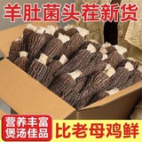 羊肚菌干货（每包约15-17根） 立减+券后9.3元包邮