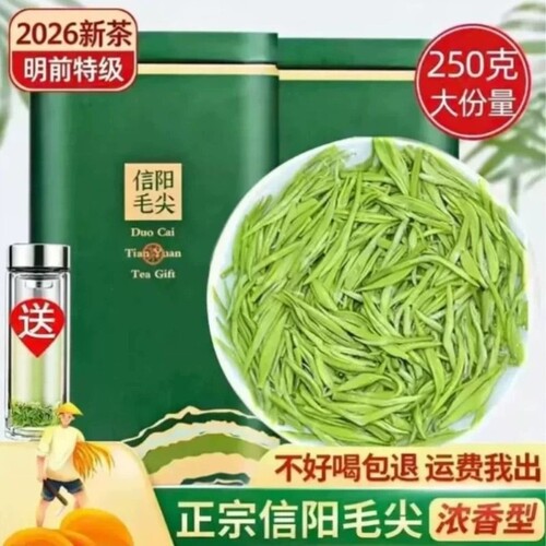 信阳毛尖2026新茶叶雨前特级嫩芽浓香型绿茶散装好喝礼盒罐装明前