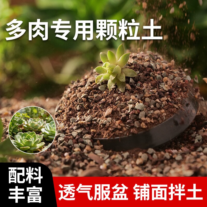 多肉颗粒土营养土专用种植土泥炭土叶插纯颗粒老桩小苗花土多肉土