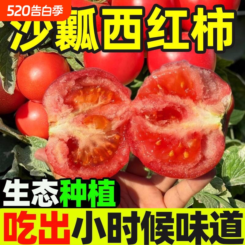 现摘四川新鲜水果农家西红柿自然熟新鲜普罗旺斯沙瓤大番茄