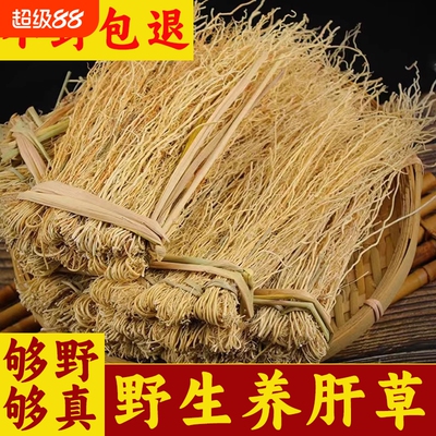 龙须养肝草护肝草广东韶关煲汤煮茶新鲜干货养肝金草丝线根熊胆草