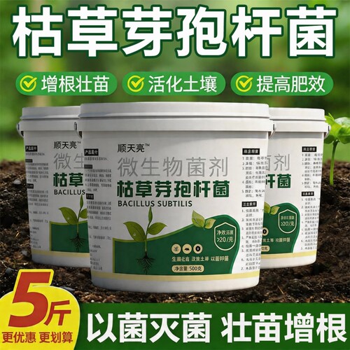 枯草芽孢菌杆菌正品旗舰店微生物菌剂兰花桂花专用农用土壤改良剂