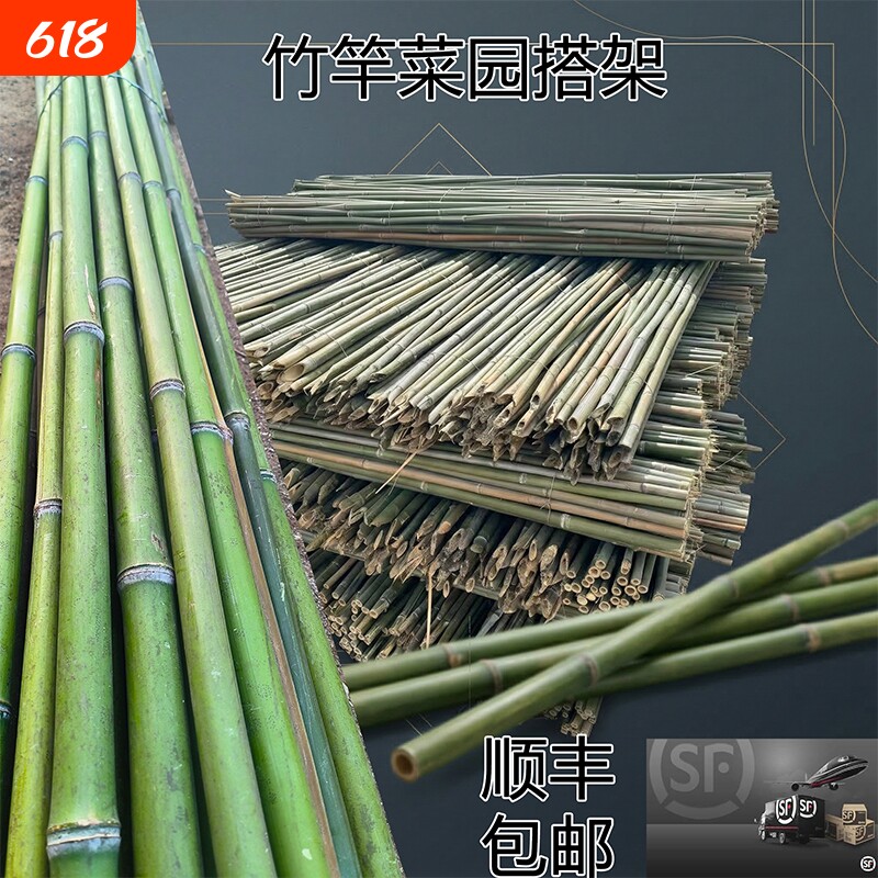 竹竿菜园搭架杆搭架竹子户外旗杆黄瓜豆角爬藤菜架竹杆支架豇豆