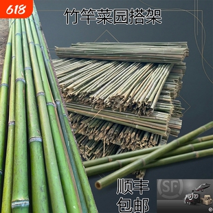 竹竿菜园搭架杆搭架竹子户外旗杆黄瓜豆角爬藤菜架竹杆支架豇豆