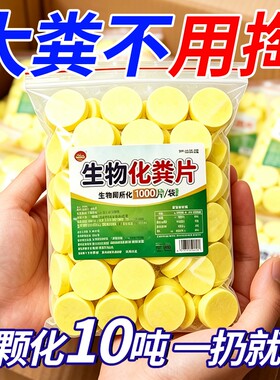 化粪片快速溶解化粪池去味