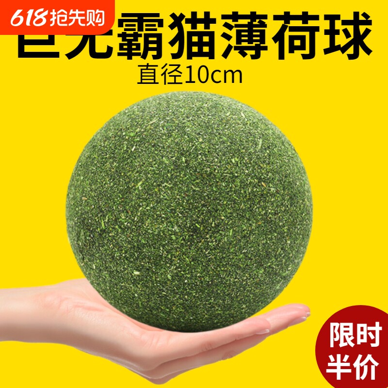猫咪玩具超大猫薄荷球自嗨解闷神器小猫逗猫棒宠物猫咪用品磨牙