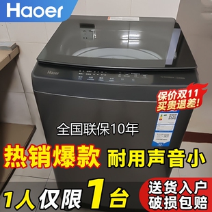 Haoer全自动洗衣机10 15kg家用租房小型波轮洗烘一体下排水节能