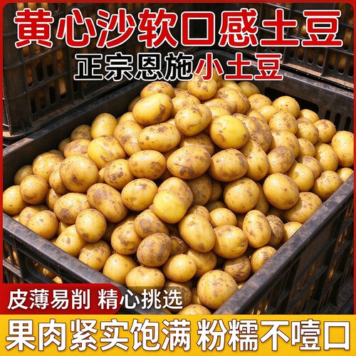 贵州威宁红皮黄心土豆10斤