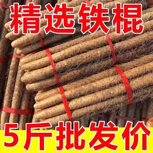 河南焦作温县垆土铁棍山药5斤