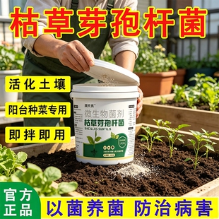 枯草芽孢菌杆菌正品旗舰店微生物菌剂兰花桂花专用土壤改良剂肥料