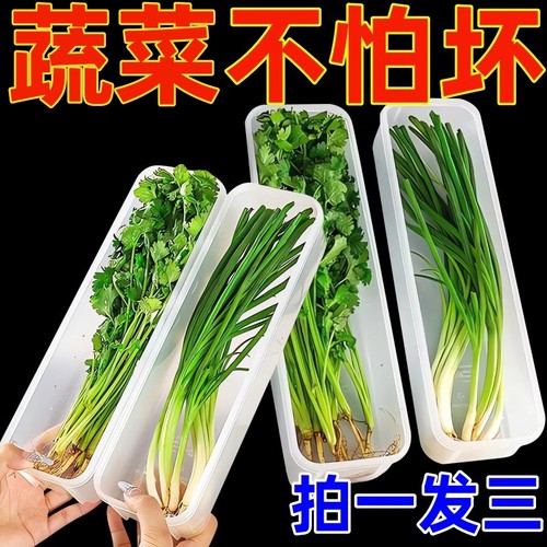 厨房保鲜盒蔬菜大小葱香菜收纳盒