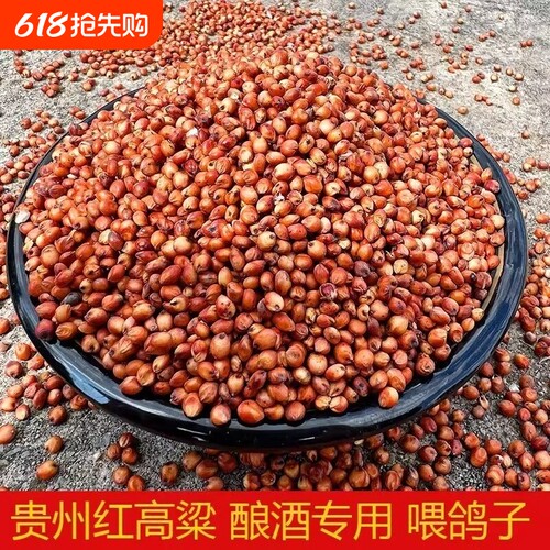 高粱酿酒专用红高粱带壳带皮